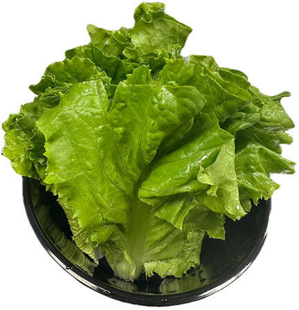 LETTUCE WRAP
